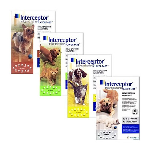 Interceptor 2x Responsive