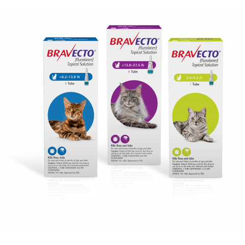 Bravecto Topical Solution for Cats