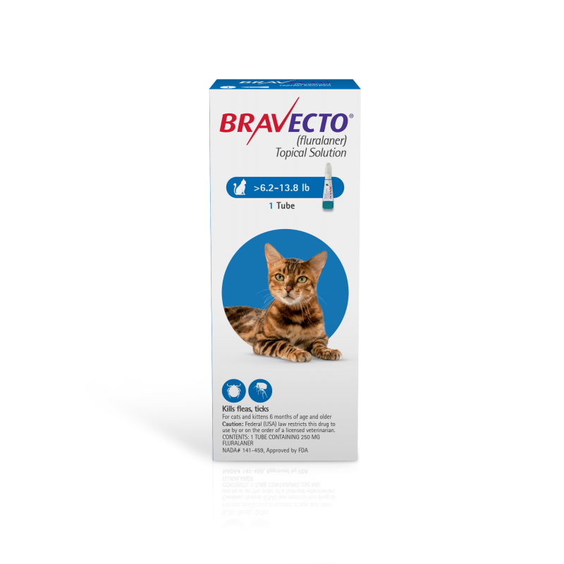 Bravecto Topical Solution for Medium Cats