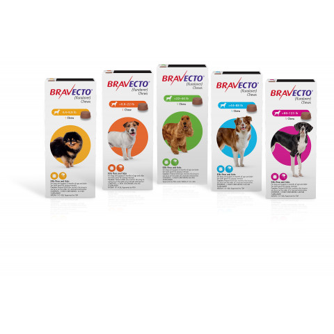 Bravecto Chews for Dogs