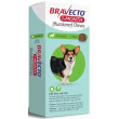 Bravecto 1-Month Chews 22-44