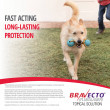 Bravecto Topical Common4