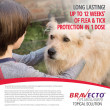 Bravecto Topical Common5