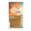 Advantage Multi for Cats 2-5 lbs 1 dose