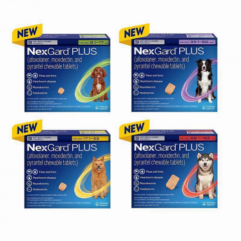 NexGard PLUS for Dogs