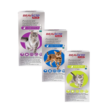 Bravecto Plus Topical Solution for Cats Cover Category