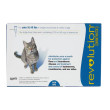 Revolution Cat_5-15 lbs 1 DOSE