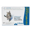 Revolution Cat_5-15 lbs 6 DOSES