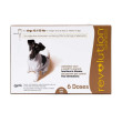 Revolution Dog 10-20 lbs 6 doses