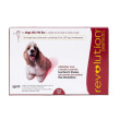 Revolution Dog 20-40 lbs 1 dose