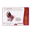 Revolution Dog 20-40 lbs 6 doses