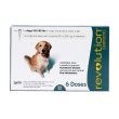 Revolution Dog 40-85 lbs 6 doses