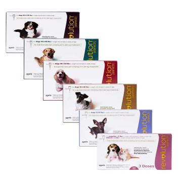 Revolution Dog Cat cover Category