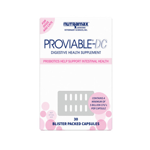 Proviable-DC Capsules 30 ct