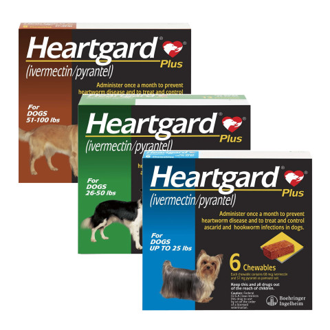 Heartgard Plus Chewables