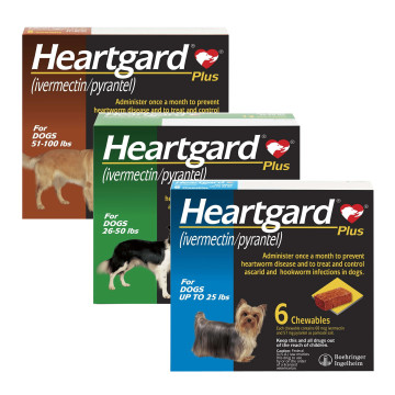 Heartgard Plus Chewables cover Category