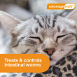 Advantage Multi for Cats 5-9 lbs