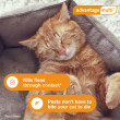Advantage Multi for Cats 5-9 lbs