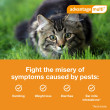 Advantage Multi for Cats 9-18 lbs