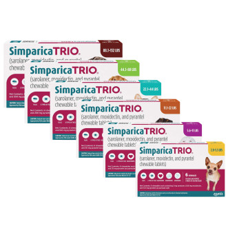Simparica Trio Cover Category