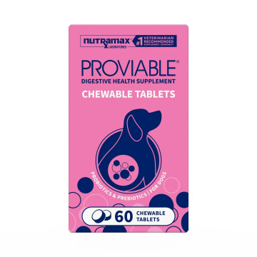 Proviable-DC Chewable Tablets 1 PACK Category