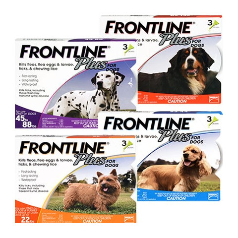 Frontline Plus 2x Responsive