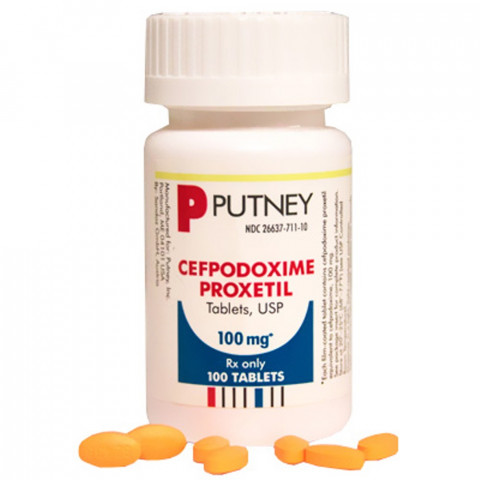 Cefpodoxime Proxetil