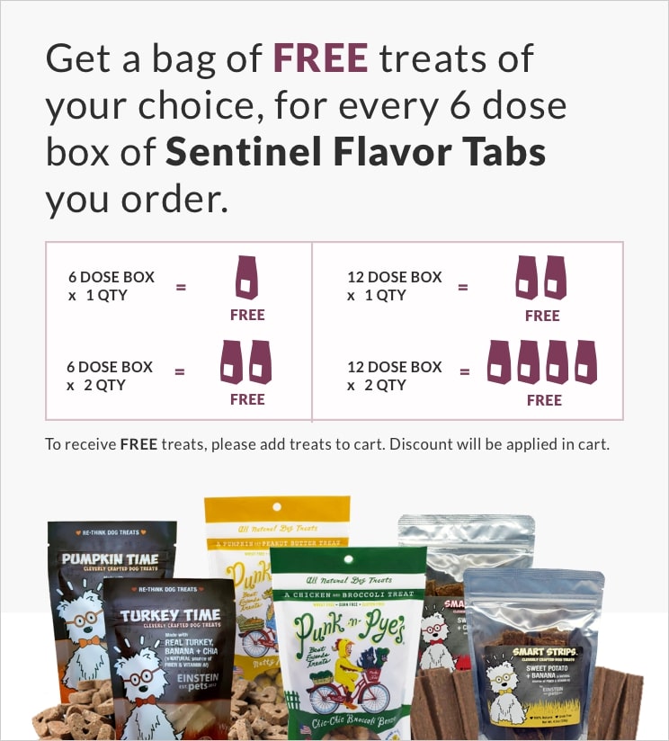 Learn More about Treats Mobile